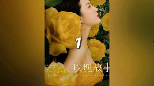 玫瑰故事爆料大全最新,揭秘浪漫传奇背后的秘密与真相