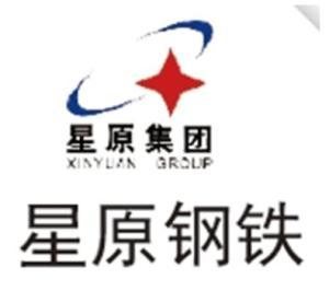 星原钢铁集团最新爆料,最新产业布局与技术创新动态